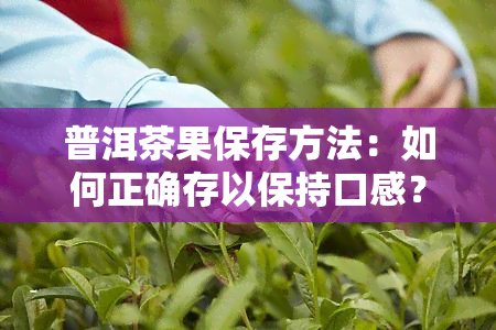 普洱茶果保存方法：如何正确存以保持口感？