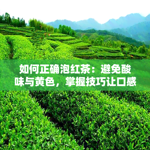 如何正确泡红茶：避免酸味与黄色，掌握技巧让口感更佳