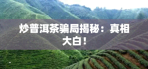 炒普洱茶骗局揭秘：真相大白！