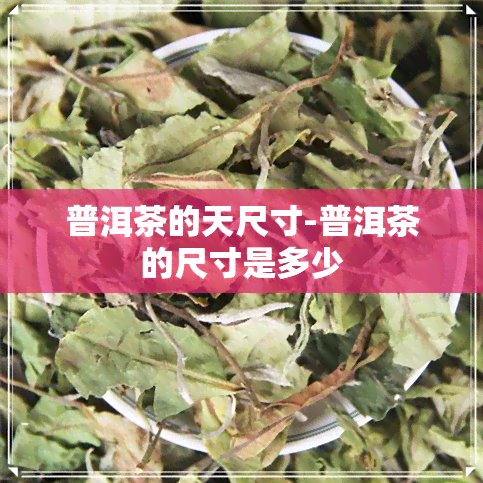 普洱茶的天尺寸-普洱茶的尺寸是多少