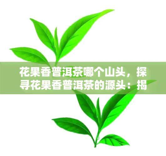 花果香普洱茶哪个山头，探寻花果香普洱茶的源头：揭秘哪个山头才是产地？