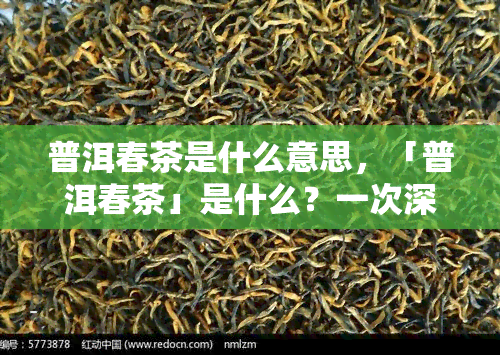 普洱春茶是什么意思，「普洱春茶」是什么？一次深入了解普洱茶的绝佳机会