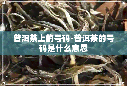 普洱茶上的号码-普洱茶的号码是什么意思