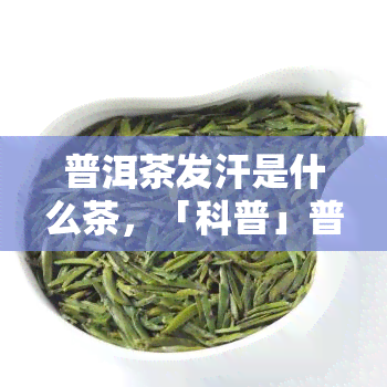 普洱茶发汗是什么茶，「科普」普洱茶发汗是什么茶？深入了解这种独特的茶叶！