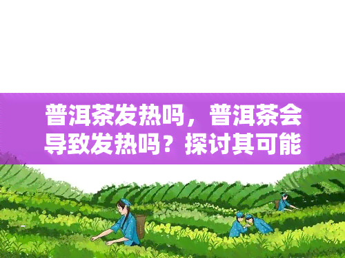 普洱茶发热吗，普洱茶会导致发热吗？探讨其可能的影响和原因