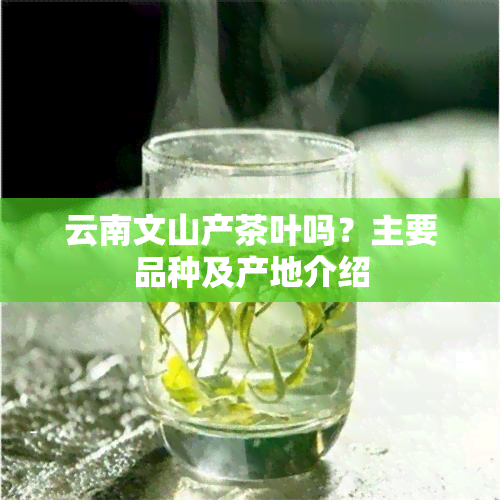 云南文山产茶叶吗？主要品种及产地介绍