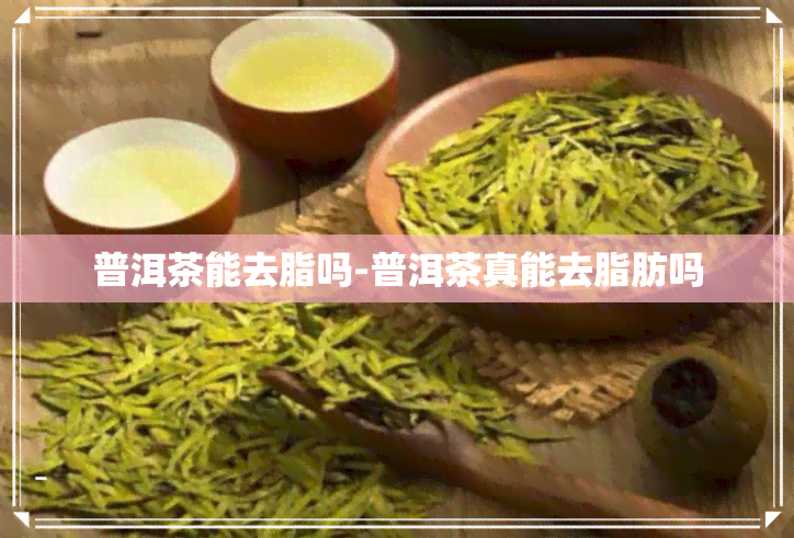 普洱茶能去脂吗-普洱茶真能去脂肪吗