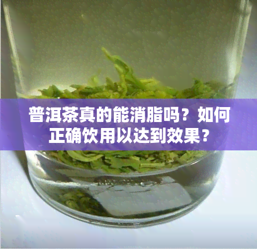 普洱茶真的能消脂吗？如何正确饮用以达到效果？