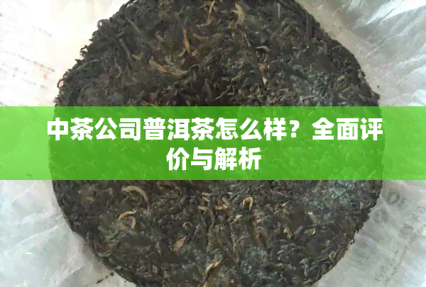 中茶公司普洱茶怎么样？全面评价与解析