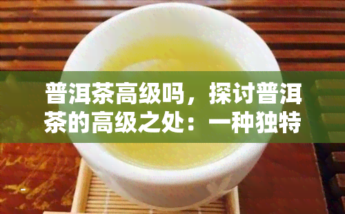 普洱茶高级吗，探讨普洱茶的高级之处：一种独特而珍贵的饮品