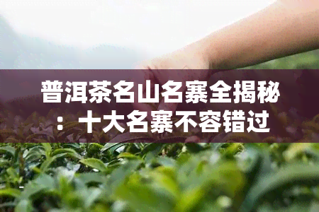 普洱茶名山名寨全揭秘：十大名寨不容错过