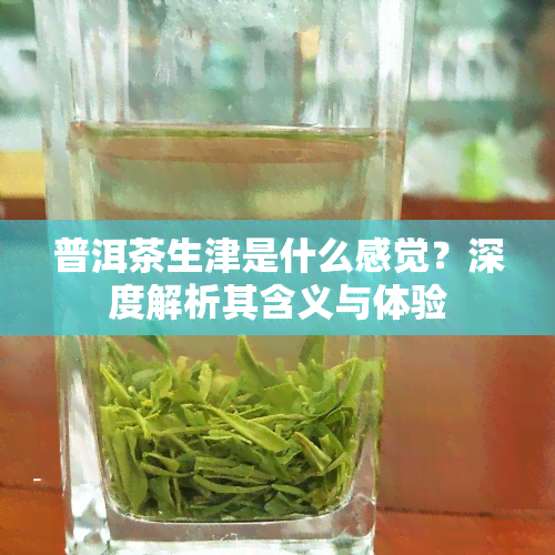 普洱茶生津是什么感觉？深度解析其含义与体验