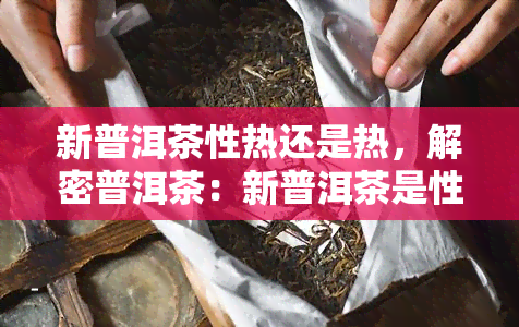 新普洱茶性热还是热，解密普洱茶：新普洱茶是性热还是热？