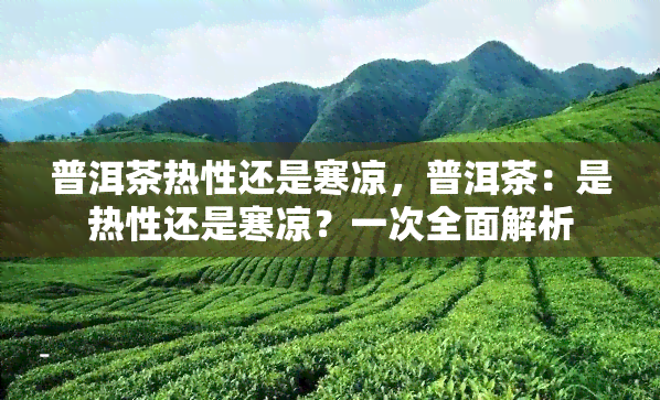 普洱茶热性还是寒凉，普洱茶：是热性还是寒凉？一次全面解析