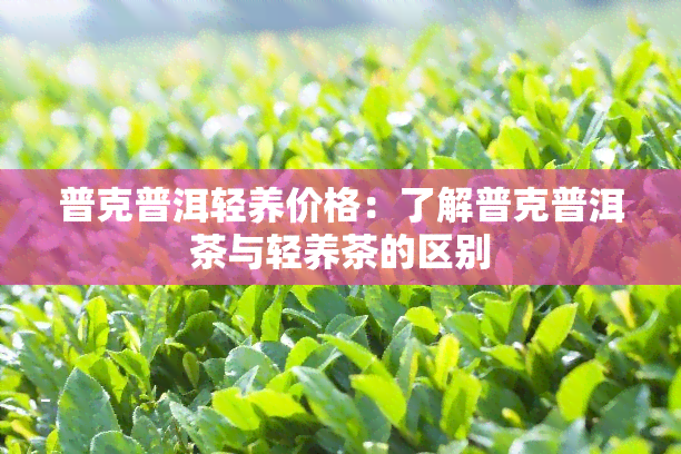 普克普洱轻养价格了解普克普洱茶与轻养茶的区别