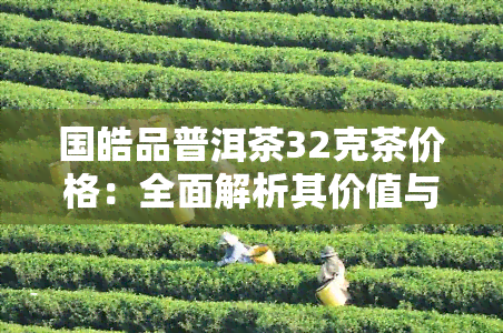 国皓品普洱茶32克茶价格：全面解析其价值与市场价格