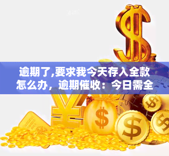 逾期了,要求我今天存入全款怎么办，逾期：今日需全额还款，该如何应对？