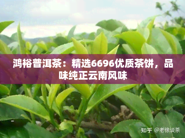 鸿裕普洱茶：精选6696优质茶饼，品味纯正云南风味