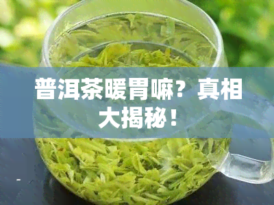 普洱茶暖胃嘛？真相大揭秘！