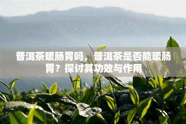 普洱茶暖肠胃吗，普洱茶是否能暖肠胃？探讨其功效与作用