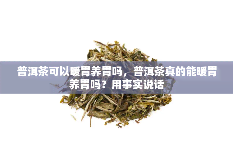 普洱茶可以暖胃养胃吗，普洱茶真的能暖胃养胃吗？用事实说话