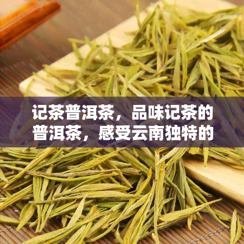 记茶普洱茶，品味记茶的普洱茶，感受云南独特的茶香文化