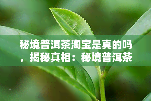 秘境普洱茶淘宝是真的吗，揭秘真相：秘境普洱茶在淘宝上的真实性如何？