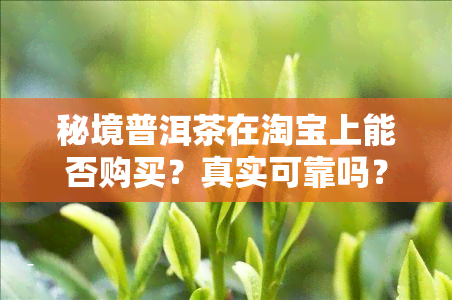 秘境普洱茶在淘宝上能否购买？真实可靠吗？安全吗？