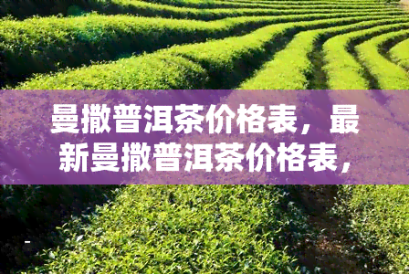 曼撒普洱茶价格表，最新曼撒普洱茶价格表，一目了然！