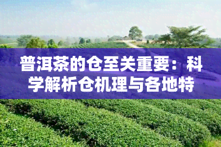 普洱茶的仓至关重要：科学解析仓机理与各地特色