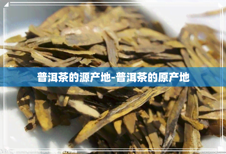 普洱茶的源产地-普洱茶的原产地