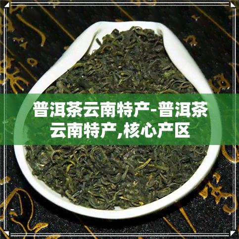 普洱茶云南特产-普洱茶云南特产,核心产区