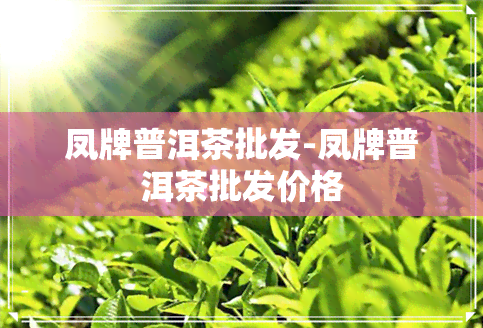 凤牌普洱茶批发-凤牌普洱茶批发价格