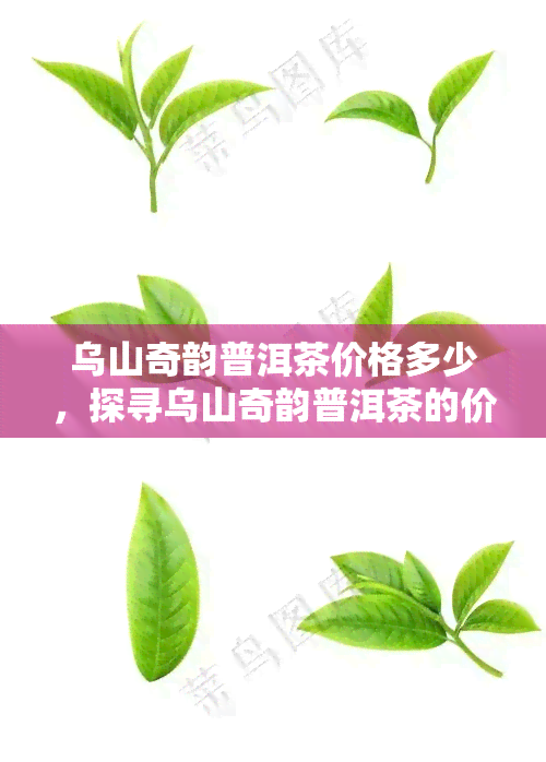 乌山奇韵普洱茶价格多少，探寻乌山奇韵普洱茶的价格，一探究竟！