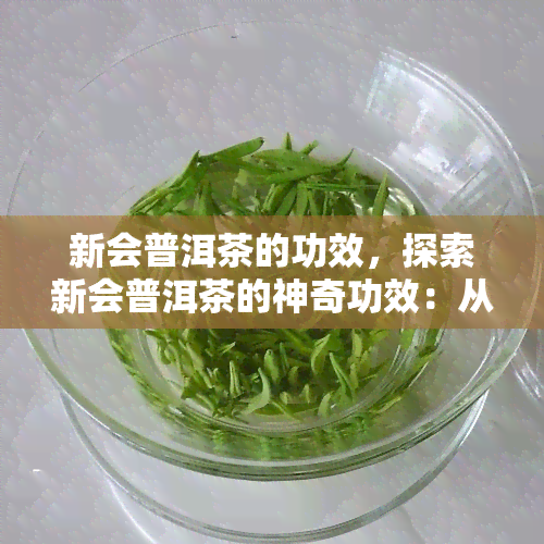 新会普洱茶的功效，探索新会普洱茶的神奇功效：从健到美味，一网打尽！