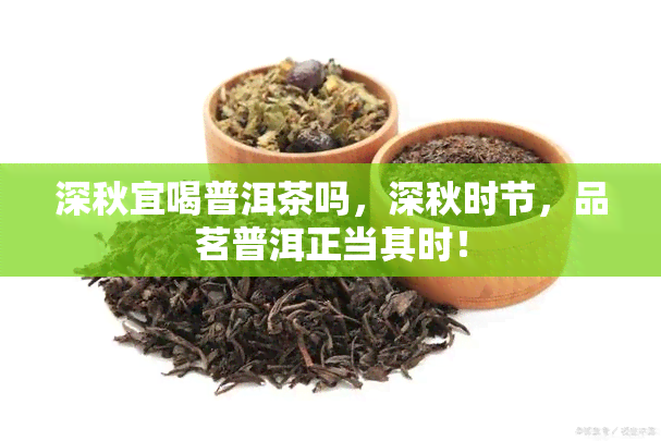 深秋宜喝普洱茶吗，深秋时节，品茗普洱正当其时！