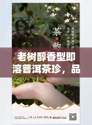 老树醇香型即溶普洱茶珍，品味老树醇香：即溶普洱茶珍的魅力