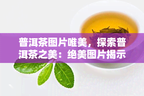 普洱茶图片唯美，探索普洱茶之美：绝美图片揭示其独特的韵味和魅力