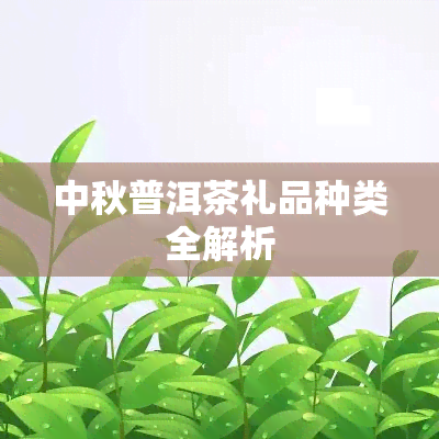 中秋普洱茶礼品种类全解析