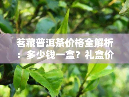 茗藏普洱茶价格全解析：多少钱一盒？礼盒价格如何？