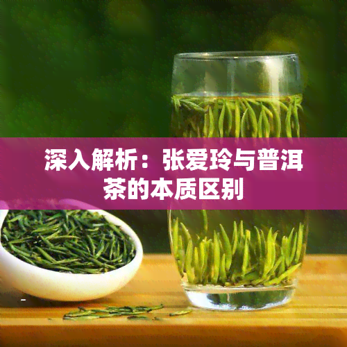 深入解析：张爱玲与普洱茶的本质区别