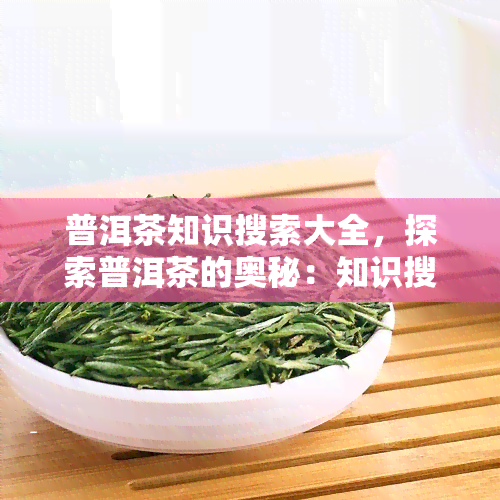 普洱茶知识搜索大全，探索普洱茶的奥秘：知识搜索大全