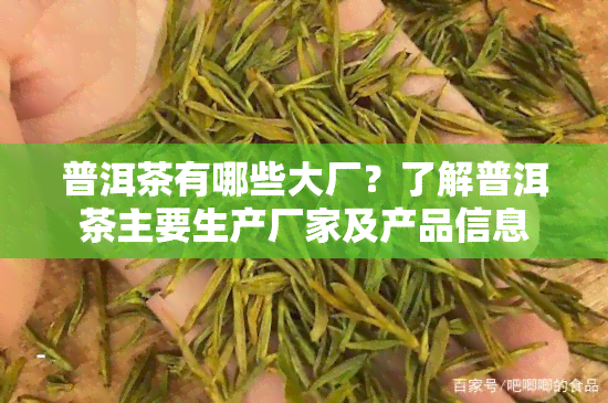 普洱茶有哪些大厂？了解普洱茶主要生产厂家及产品信息