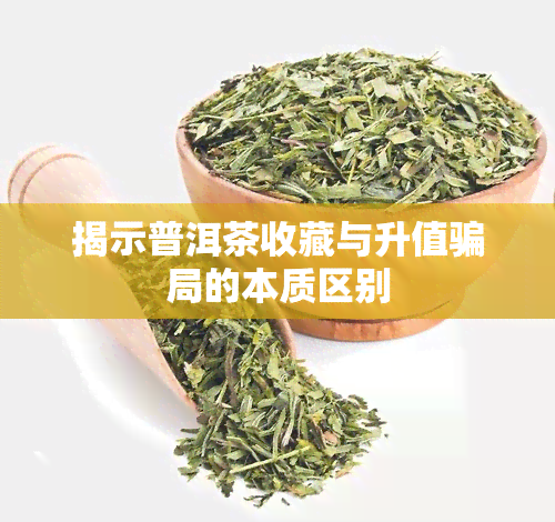 揭示普洱茶收藏与升值骗局的本质区别