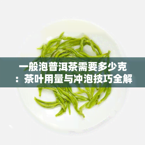 一般泡普洱茶需要多少克：茶叶用量与冲泡技巧全解