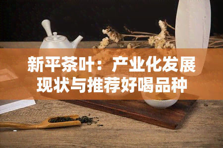 新平茶叶：产业化发展现状与推荐好喝品种