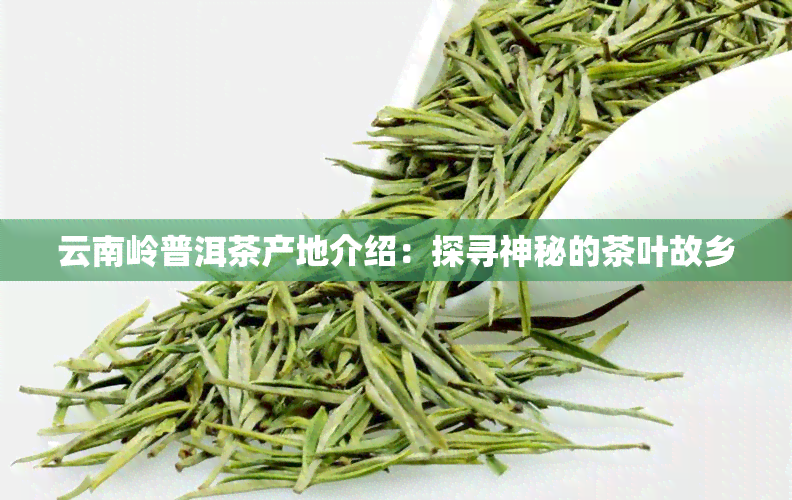 云南岭普洱茶产地介绍：探寻神秘的茶叶故乡