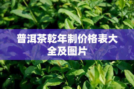 普洱茶乾年制价格表大全及图片