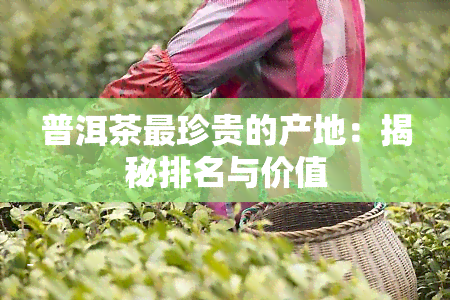 普洱茶最珍贵的产地：揭秘排名与价值