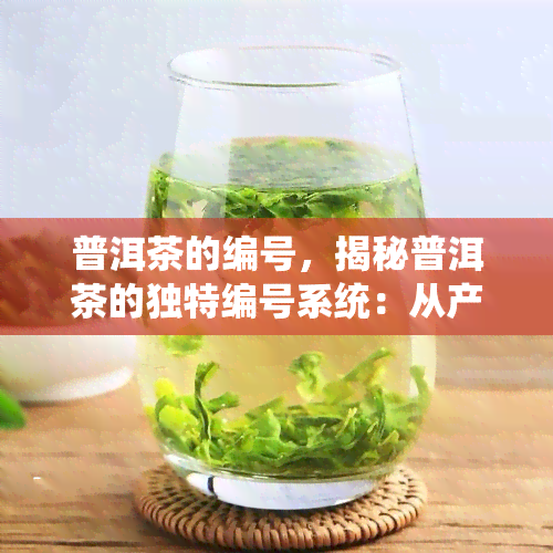 普洱茶的编号，揭秘普洱茶的独特编号系统：从产地到批次，一文读懂